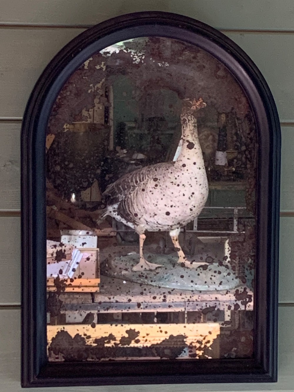 VICTORIAN WALL MIRROR WITH ORIGINAL FOXED MERCURY PLATE View II