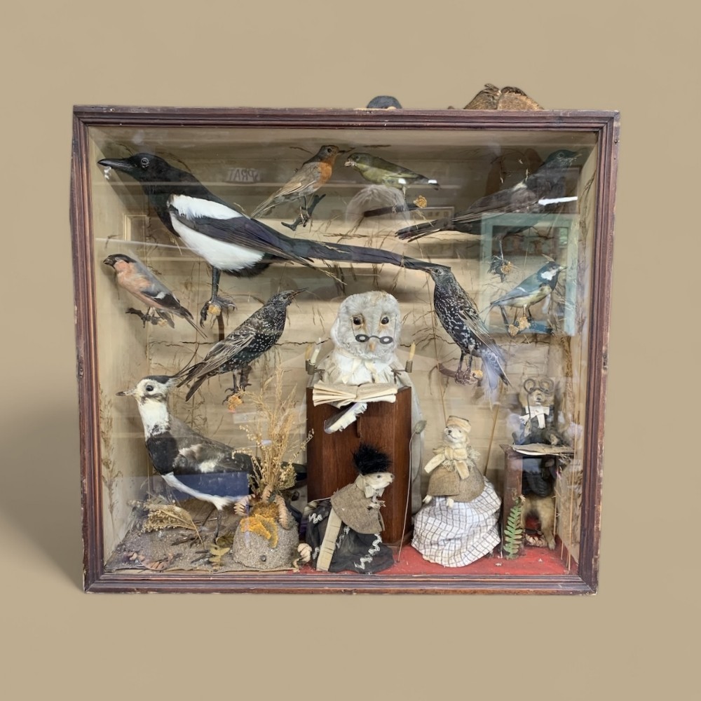 ANTHROPOMORPHIC TAXIDERMY DIORAMA