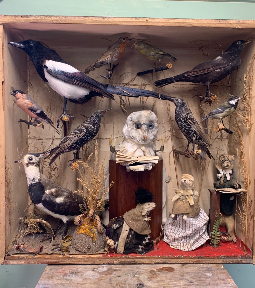 ANTHROPOMORPHIC TAXIDERMY DIORAMA View II