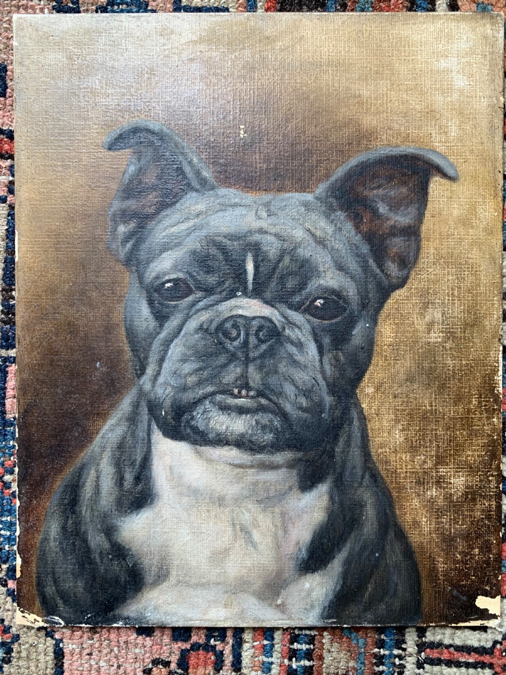 PORTRAIT OF A FRENCHIE - OIL ON ARTIST BOARD