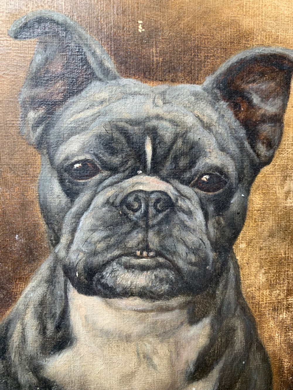 PORTRAIT OF A FRENCHIE - OIL ON ARTIST BOARD View IV