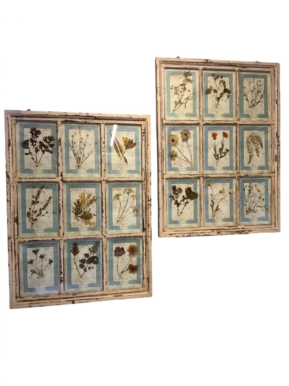 WONDERFUL SET OF FRAMED ANTIQUE PRESSED FLOWERS HERBARIUMS