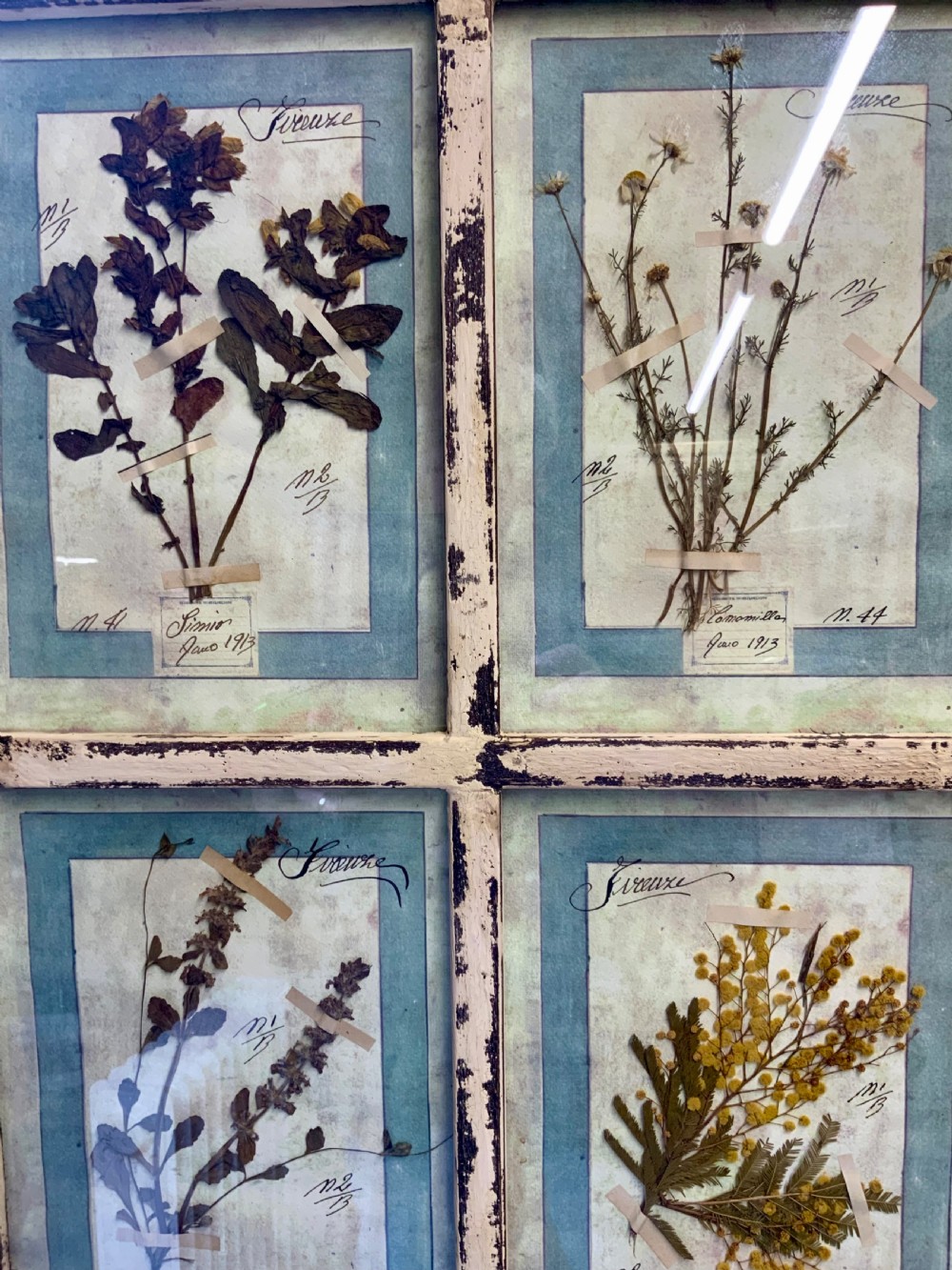 WONDERFUL SET OF FRAMED ANTIQUE PRESSED FLOWERS HERBARIUMS View VII