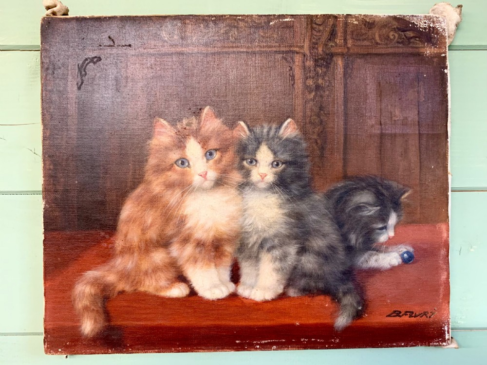3 KITTENS - 19thC OIL ON CANVAS - FRENCH SCHOOL