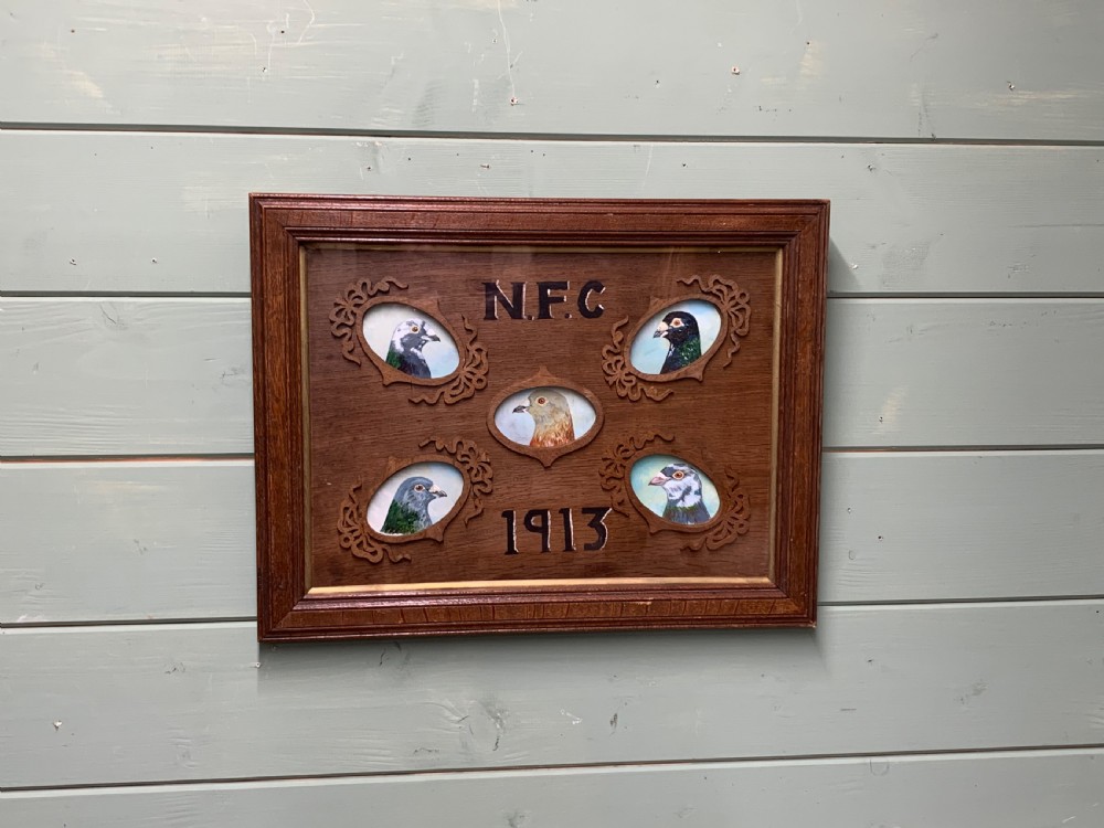 RARE FRAMED RACING PIGEONS OIL PORTRAITS DATED 1913 View II