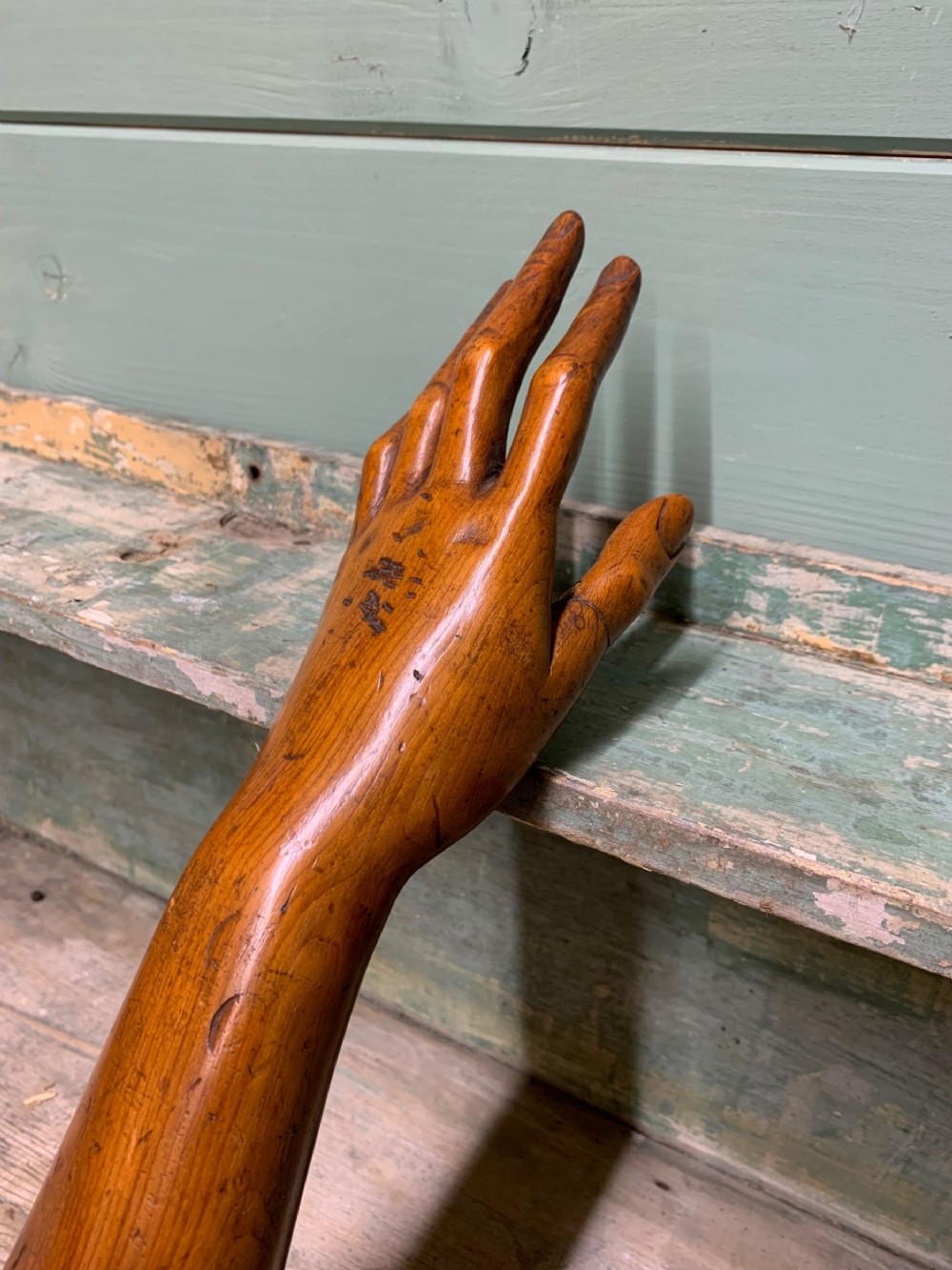 ARTISTS MODEL OF AN ARM