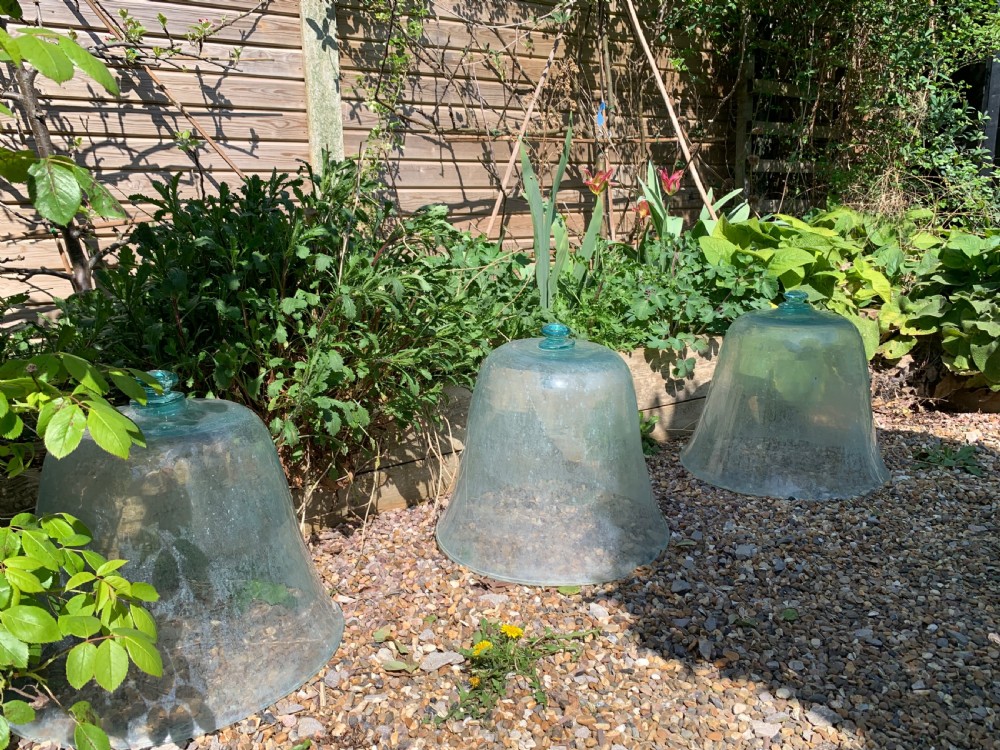 EARLY FRENCH GARDEN MELON CLOCHES View IV