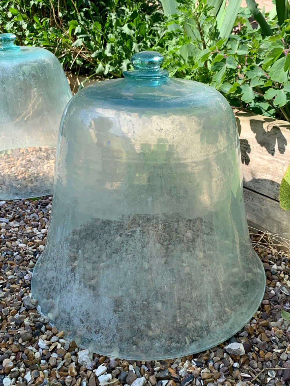 EARLY FRENCH GARDEN MELON CLOCHES View V