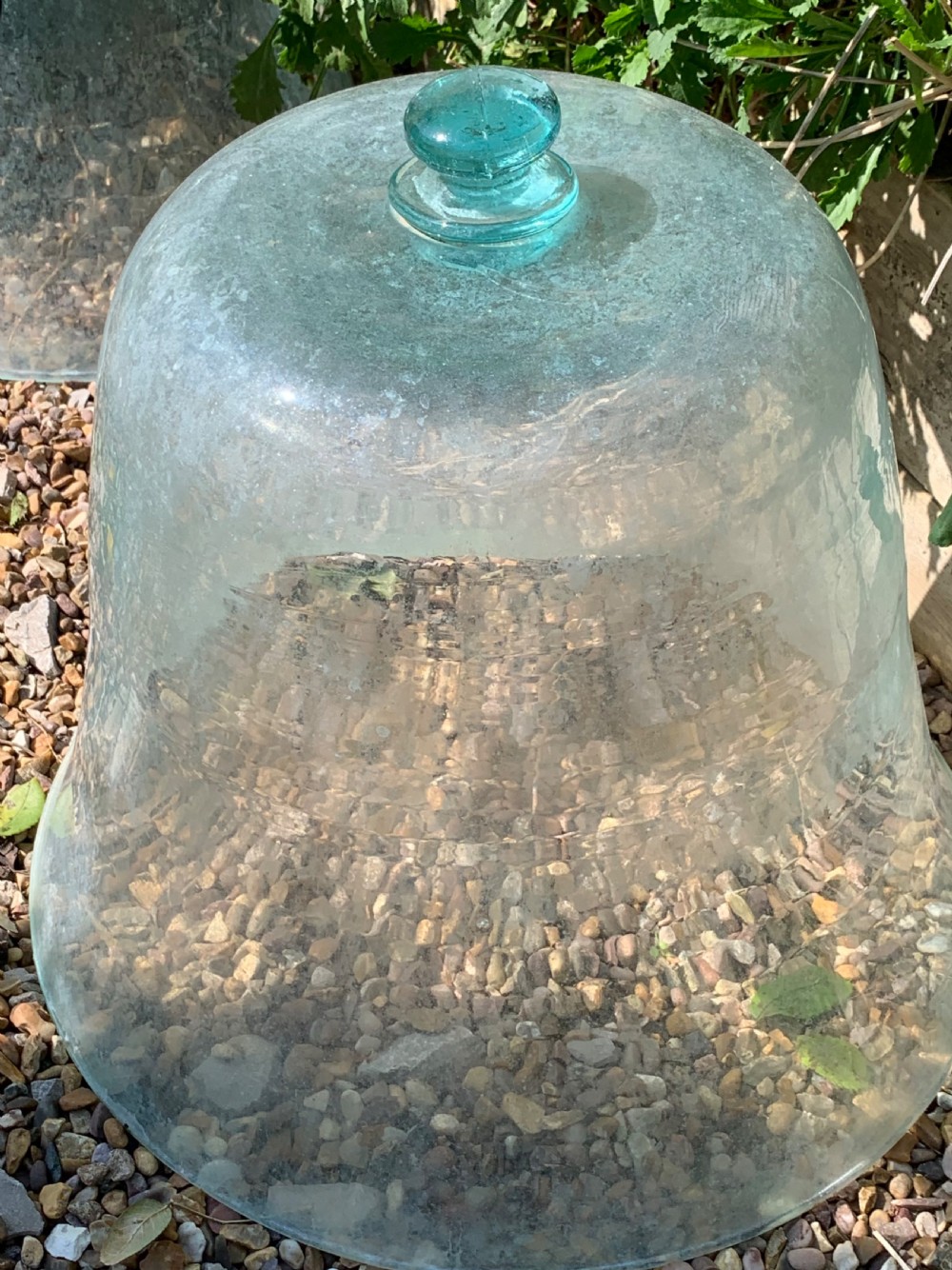 EARLY FRENCH GARDEN MELON CLOCHES View VIII