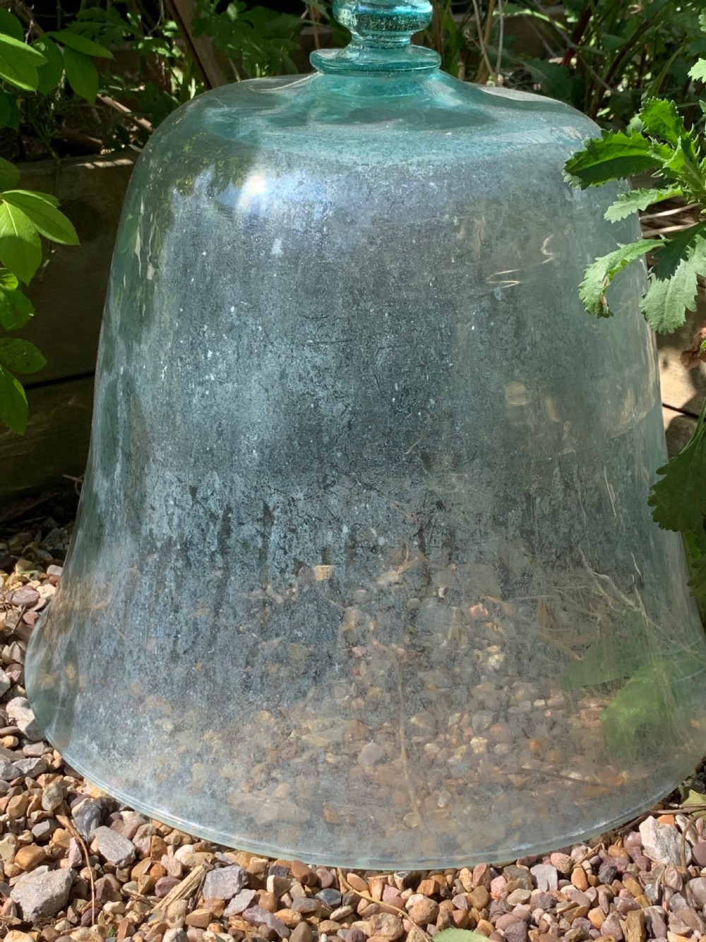 EARLY FRENCH GARDEN MELON CLOCHES View IX
