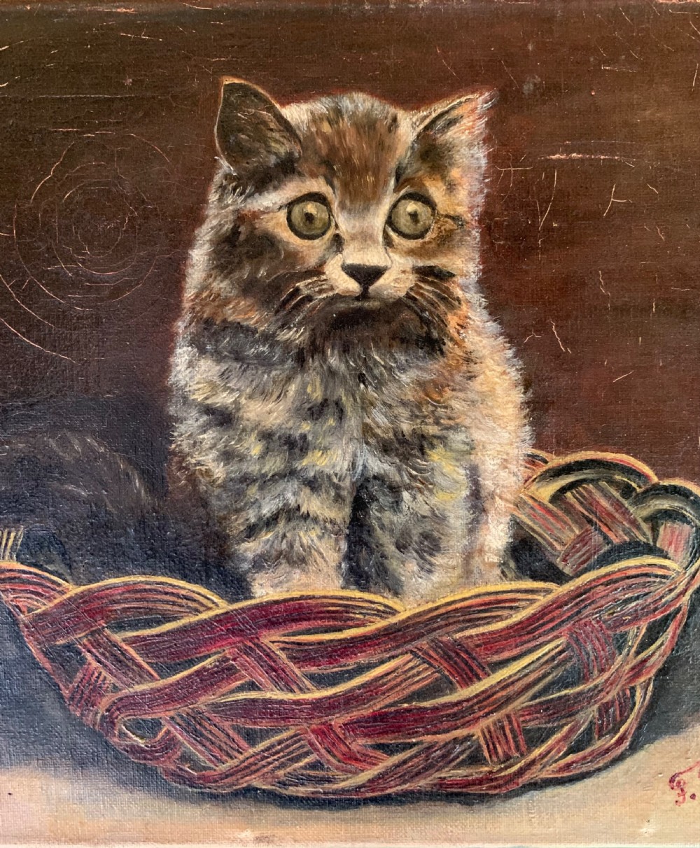OIL PORTRAIT OF A STARTLED KITTEN - FRENCH SCHOOL View IV