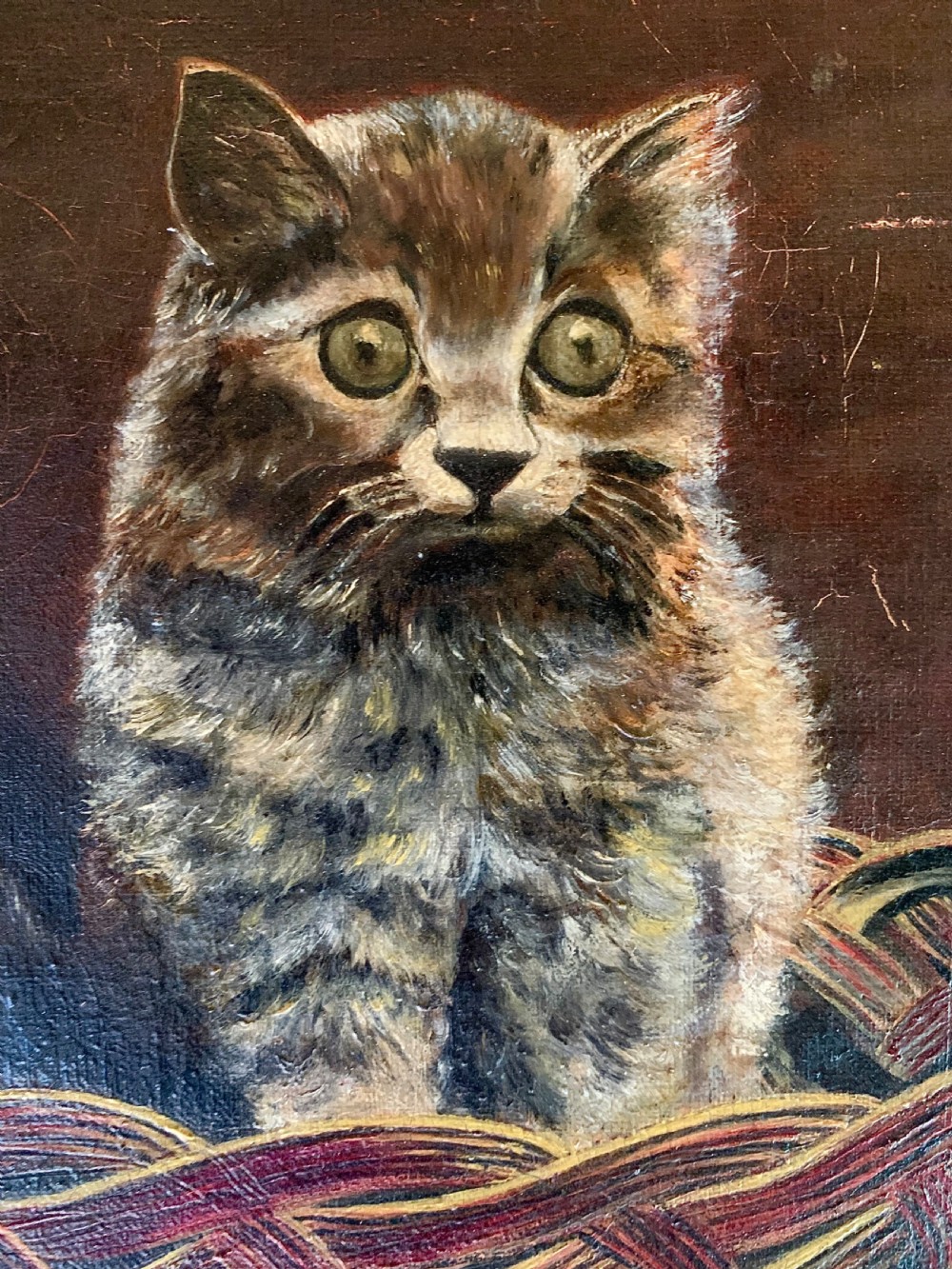OIL PORTRAIT OF A STARTLED KITTEN - FRENCH SCHOOL View V