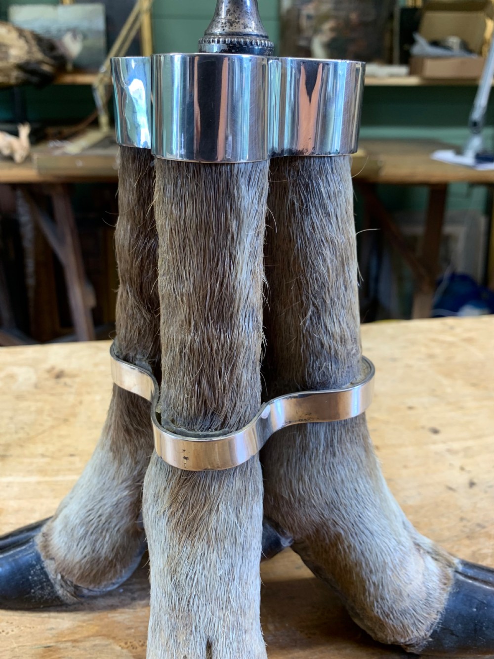 An antique table lamp base formed from three preserved deer hooves joined at the top with a polished metal fitting. View VI