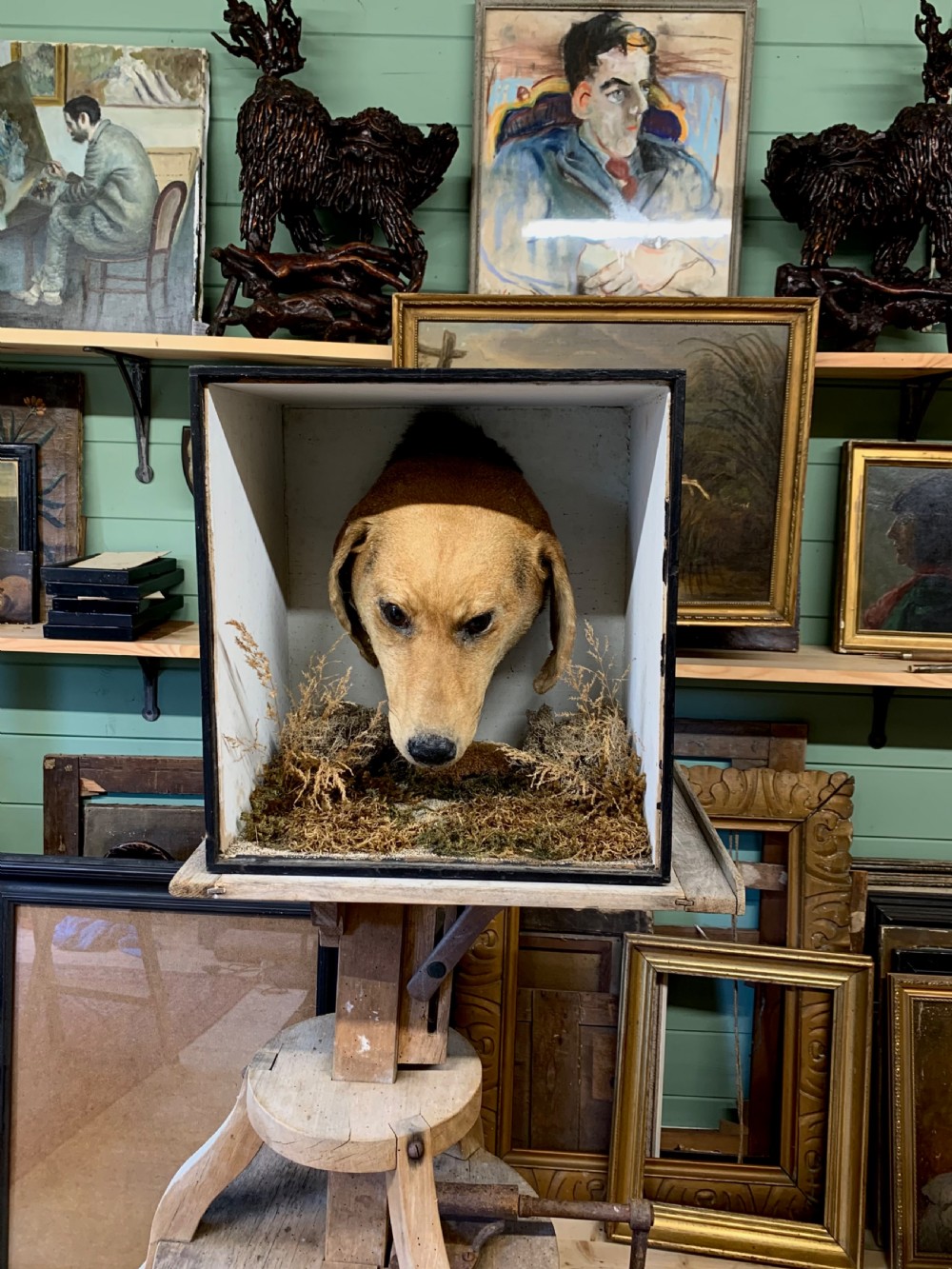 EARLY 20thC TAXIDERMY DOG HEAD View VIII