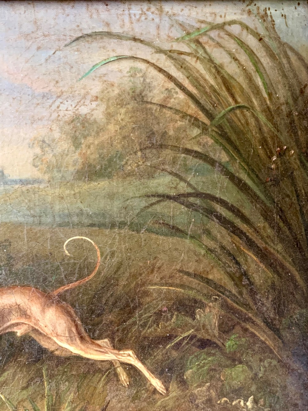 DOGS IN A LANDSCAPE -19th C OIL ON CANVAS View VII