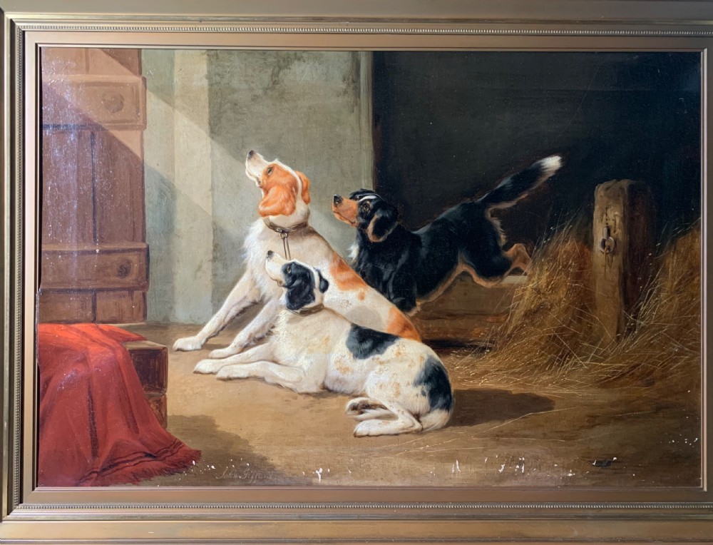 LARGE PAIR OF 19thC OILS OF DOGS BY JOHN GIFFORD View IX