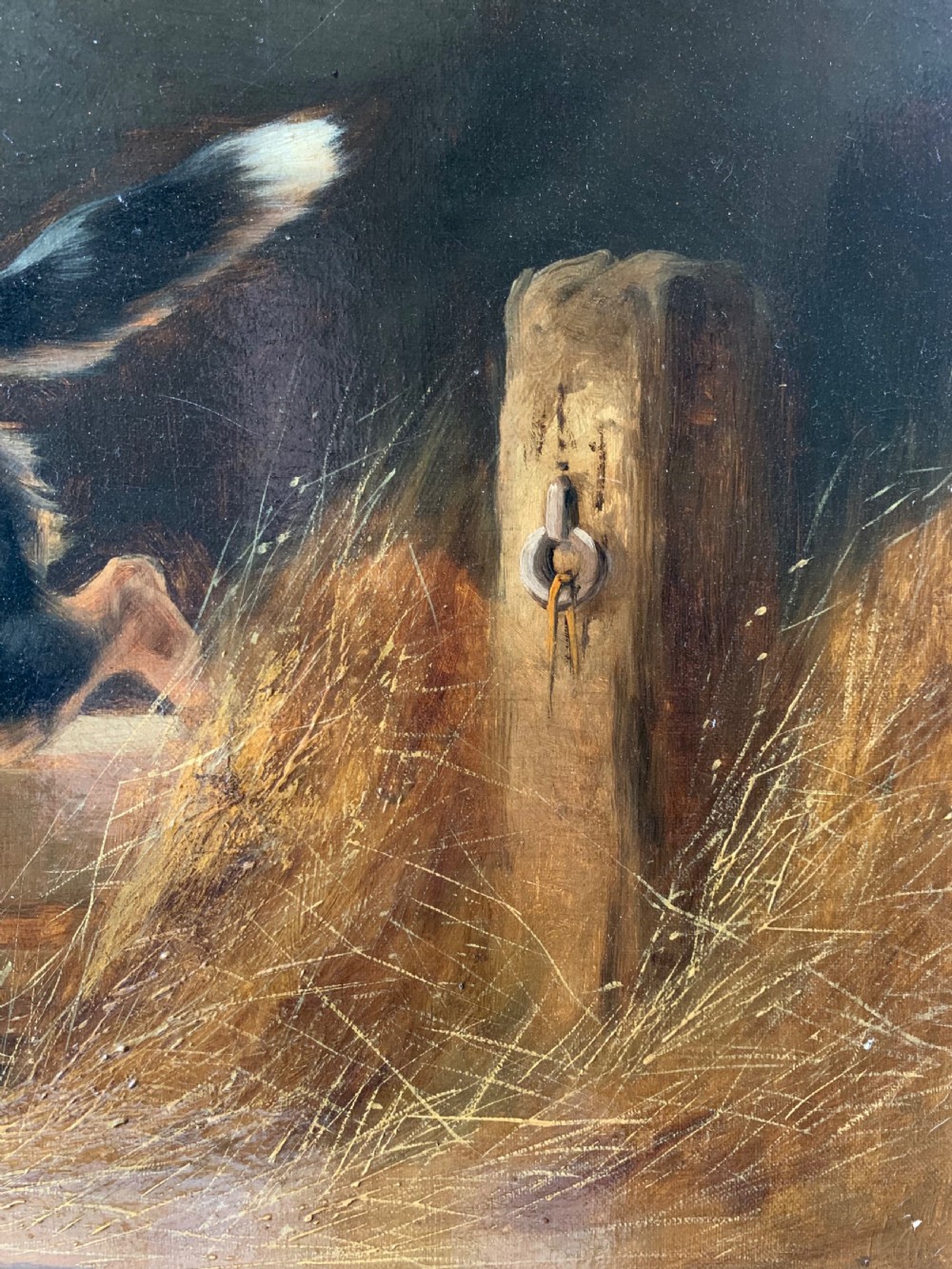 LARGE PAIR OF 19thC OILS OF DOGS BY JOHN GIFFORD View XV