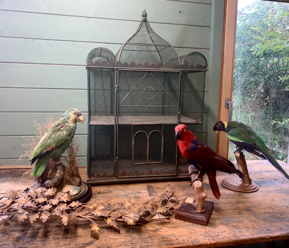 ANTIQUE FRENCH PALACE BIRDCAGE View VIII