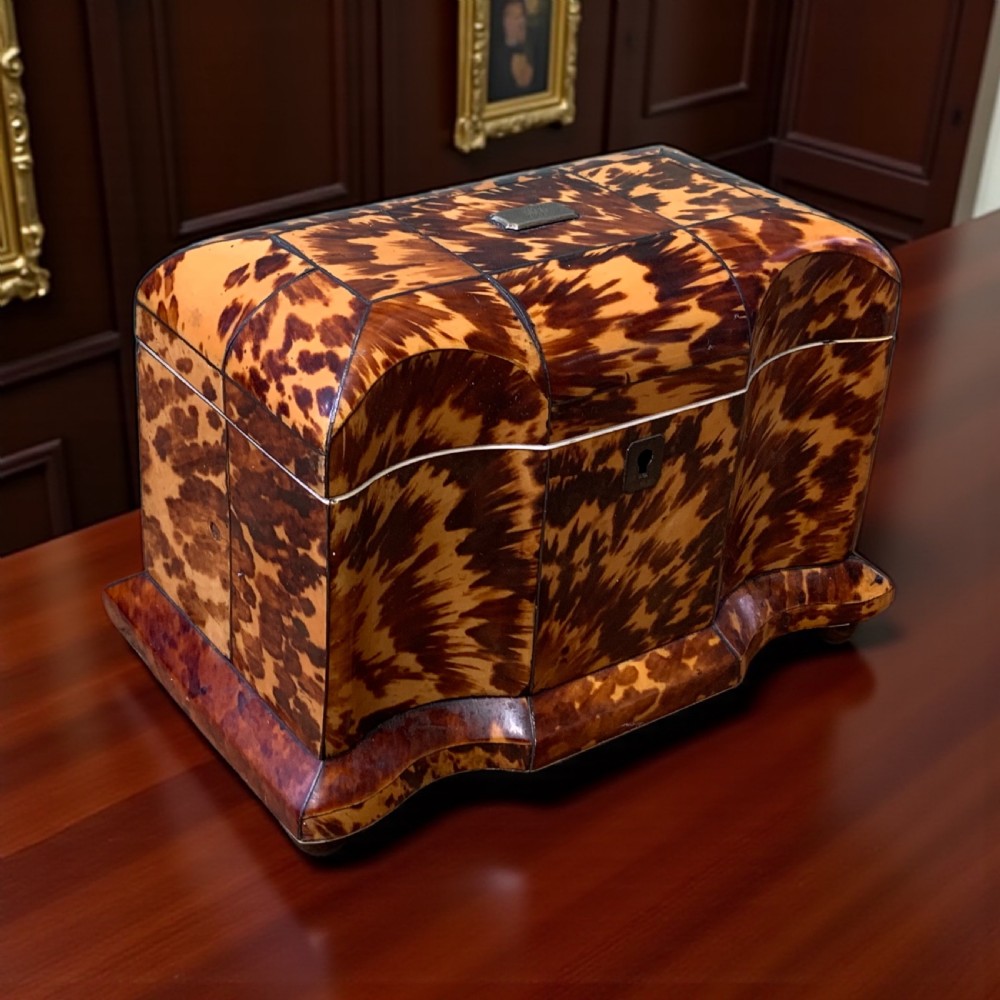 GEORGIAN TORTOISESHELL TEA CADDY