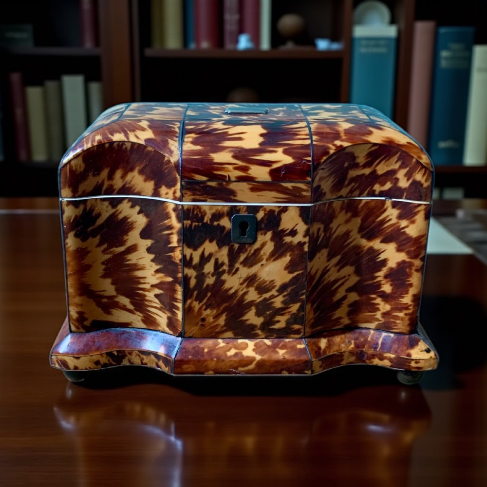 GEORGIAN TORTOISESHELL TEA CADDY View III