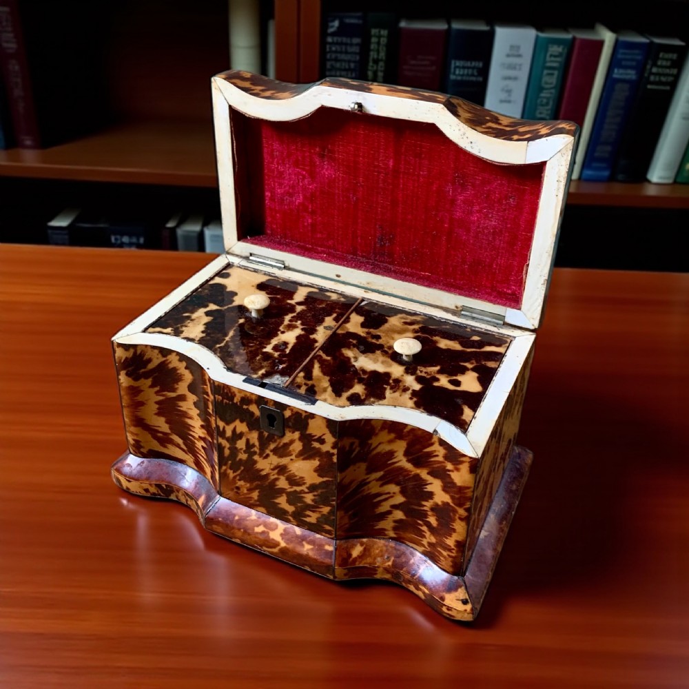 GEORGIAN TORTOISESHELL TEA CADDY View IV