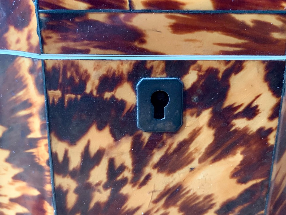 GEORGIAN TORTOISESHELL TEA CADDY View V