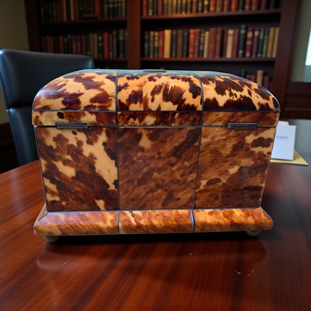 GEORGIAN TORTOISESHELL TEA CADDY View VII