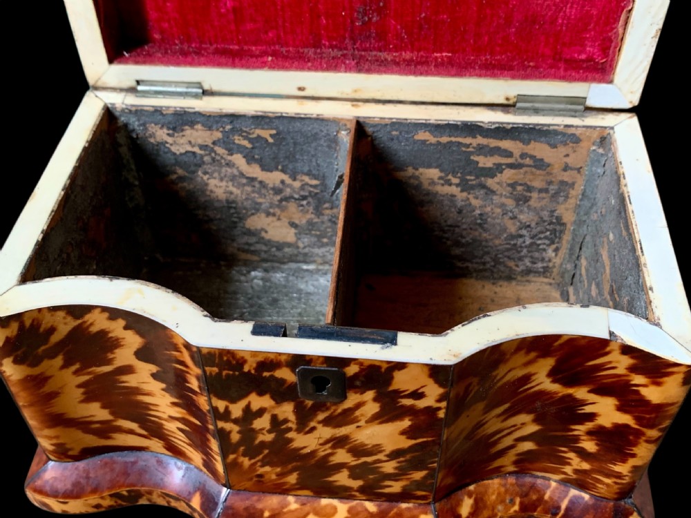 GEORGIAN TORTOISESHELL TEA CADDY View XIV