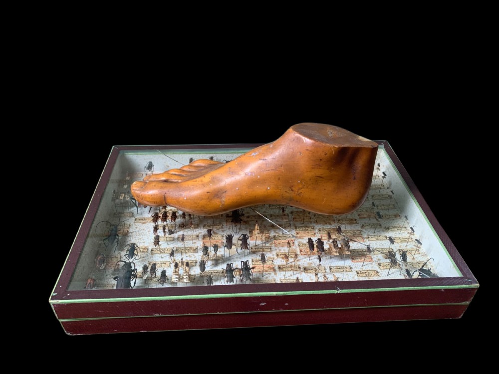 ANTIQUE ARTIST MODEL OF A FOOT View VII