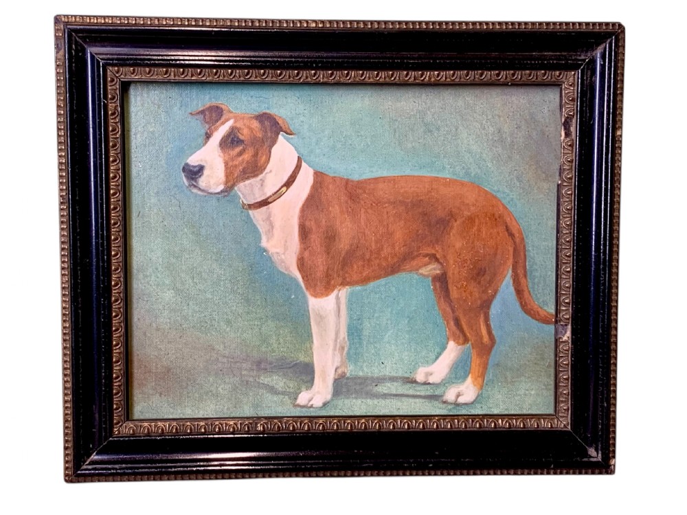 EARLY 20th C OIL PORTRAIT OF A STAFFY BY MAUD TURNER