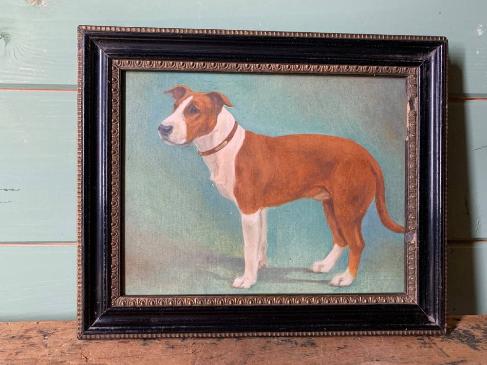 EARLY 20th C OIL PORTRAIT OF A STAFFY BY MAUD TURNER View II