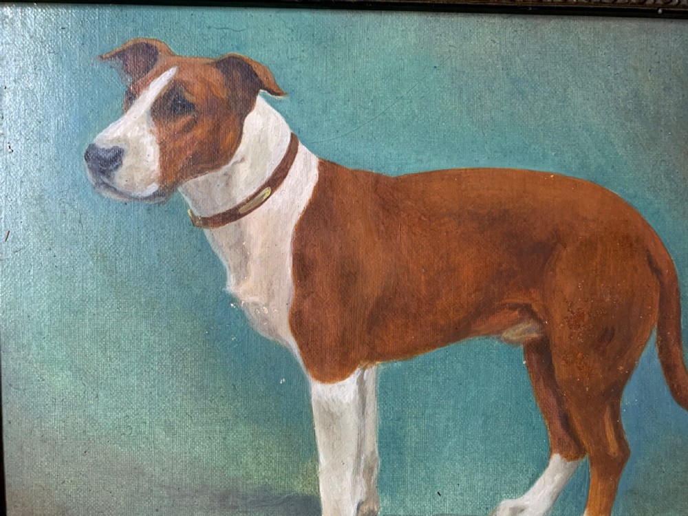 EARLY 20th C OIL PORTRAIT OF A STAFFY BY MAUD TURNER View III
