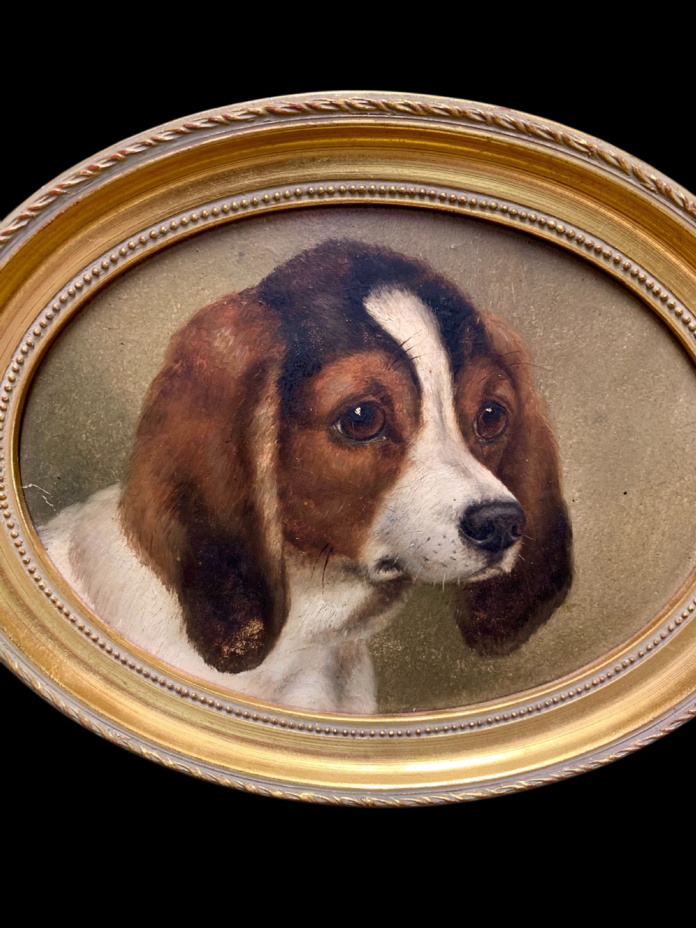 19th CENTURY OIL PORTRAIT OF A YOUNG SPANIEL View III
