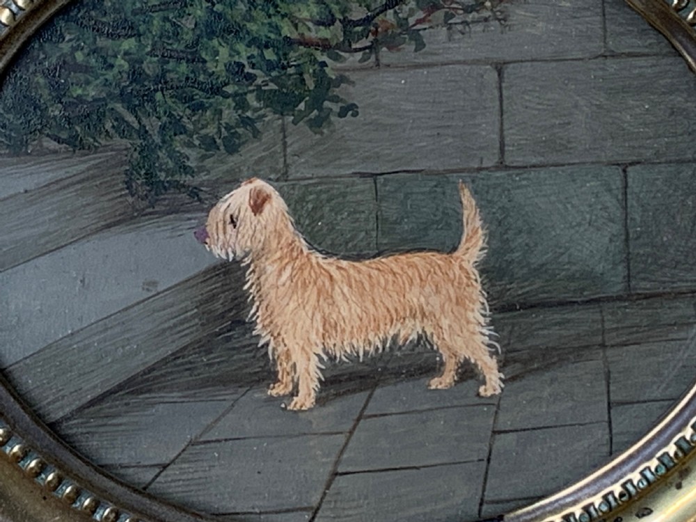 EARLY 20thC PORTRAIT OF A TERRIER IN A COURTYARD View III
