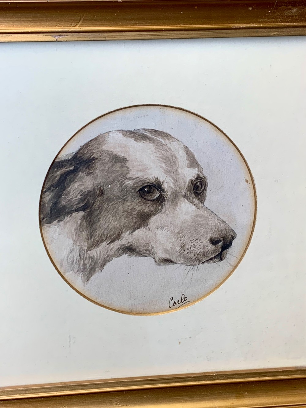 19th CENTURY WATERCOLOUR PORTRAIT OF A TERRIER View III