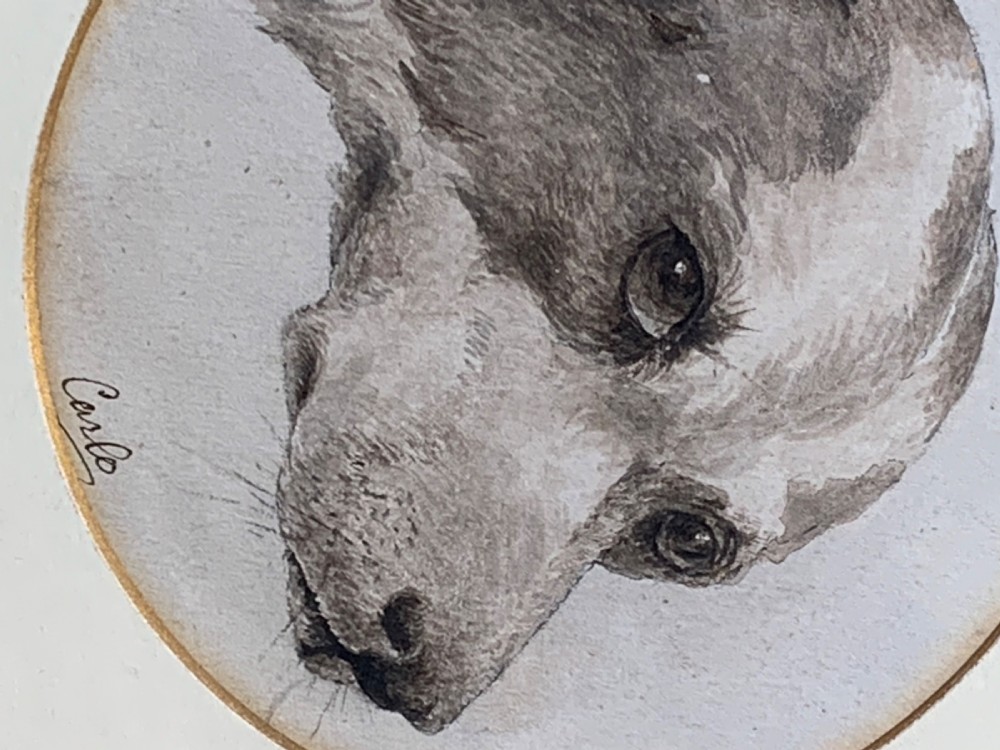 19th CENTURY WATERCOLOUR PORTRAIT OF A TERRIER View IV