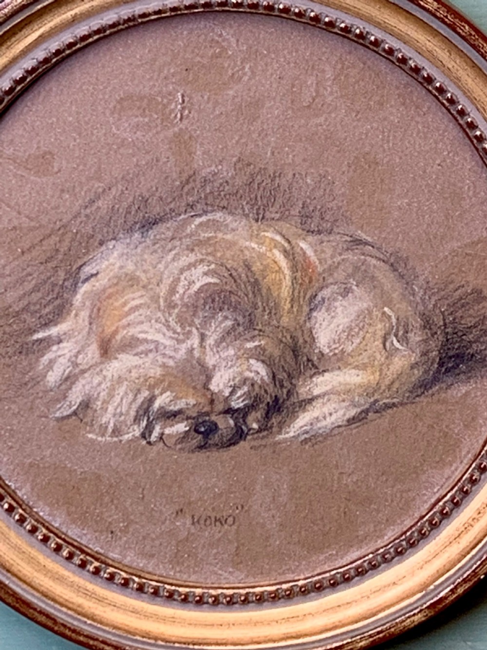 CHARCOAL & PASTEL STUDY OF A PEKINGESE DOG View II