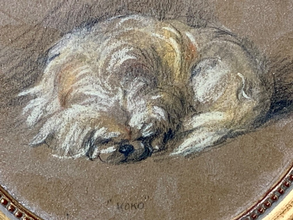 CHARCOAL & PASTEL STUDY OF A PEKINGESE DOG View III