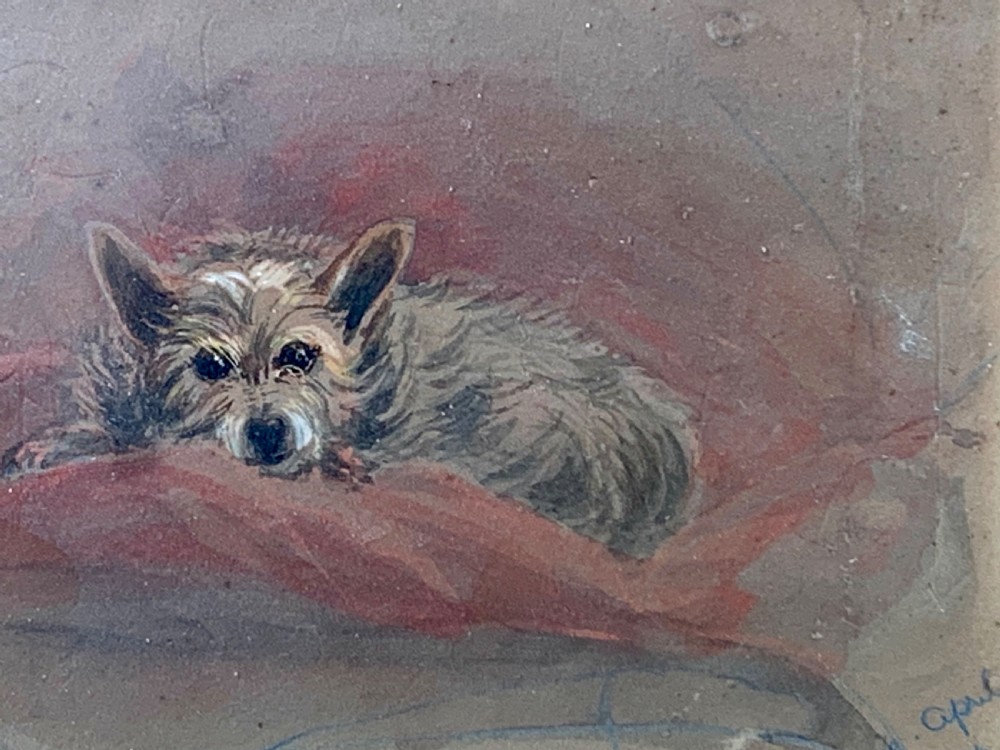 19th CENTURY WATERCOLOUR OF A TERRIER CALLED ‘JOIE’ View III