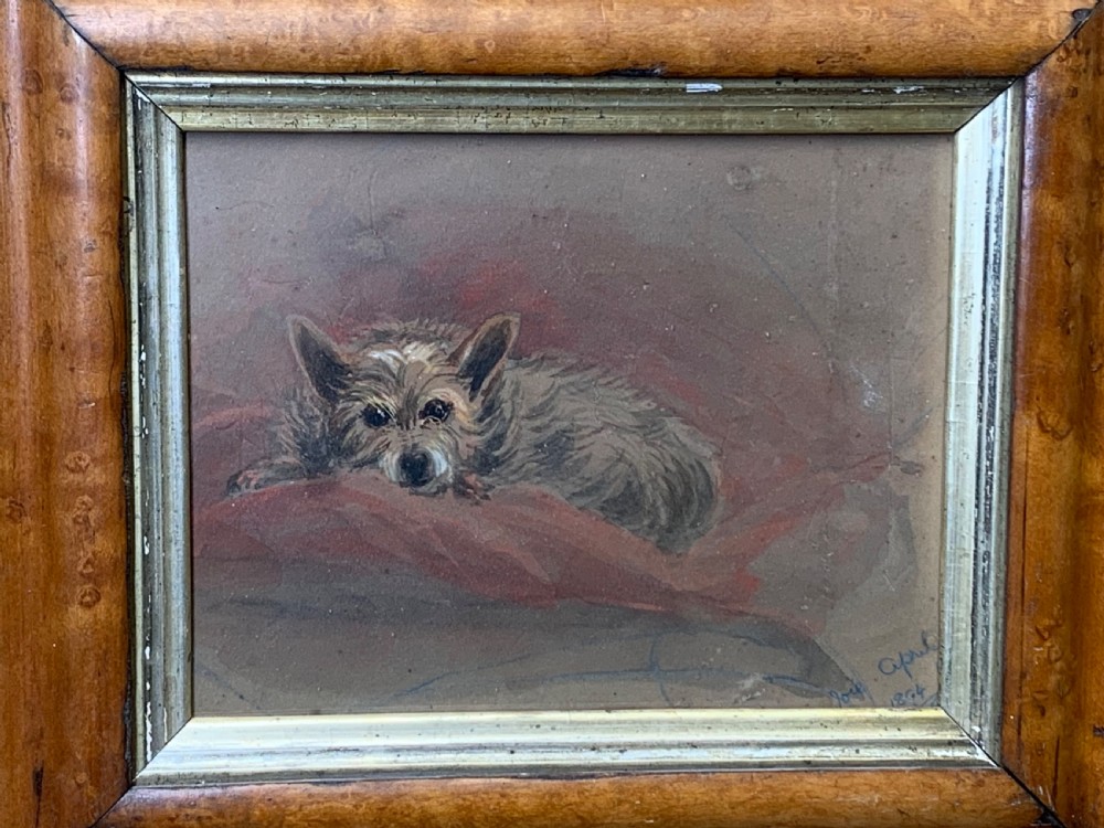 19th CENTURY WATERCOLOUR OF A TERRIER CALLED ‘JOIE’ View IV