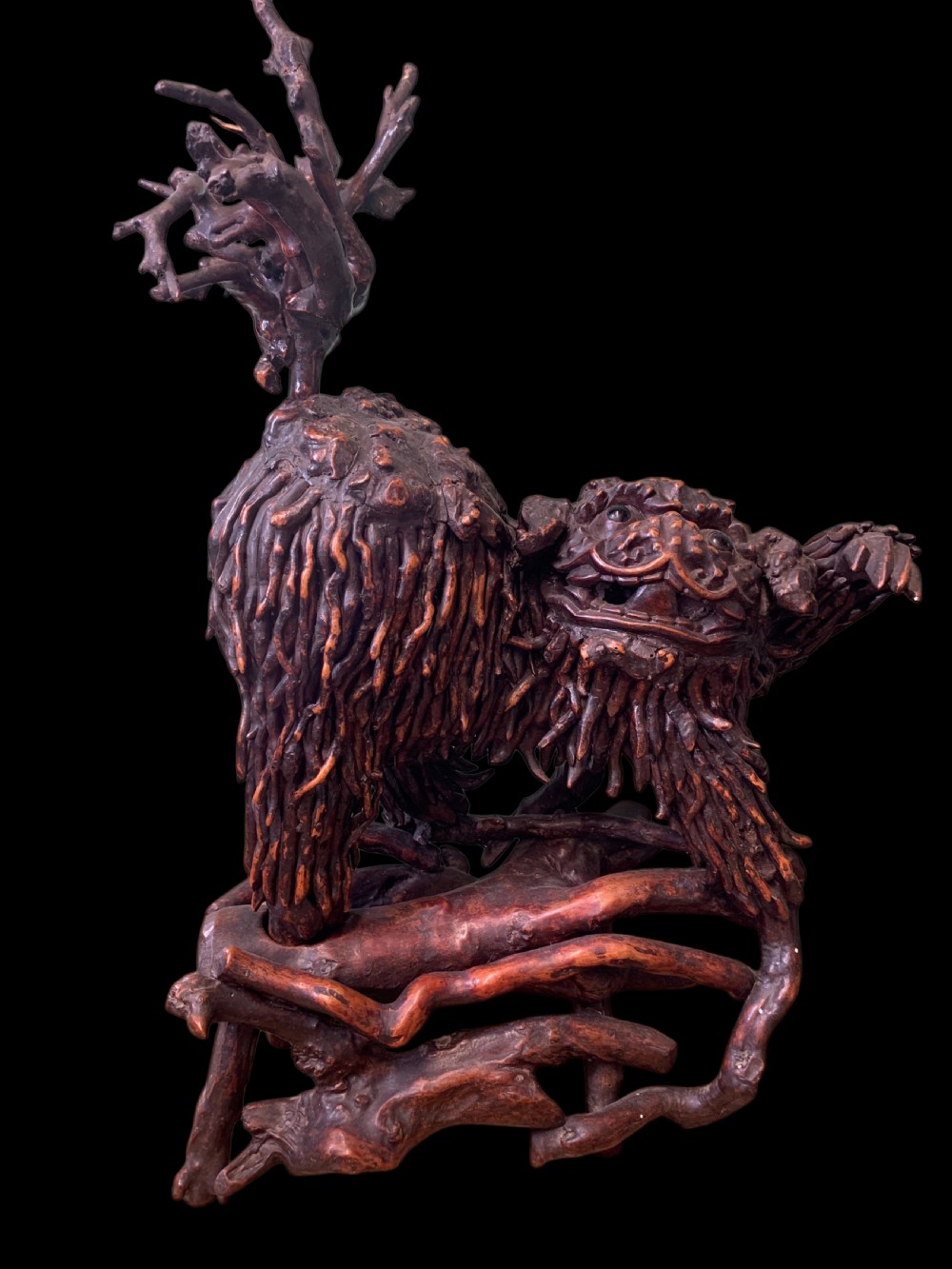 A pair of dark carved root wood Chinese guardian lion sculptures raised on organic natural root bases. View V