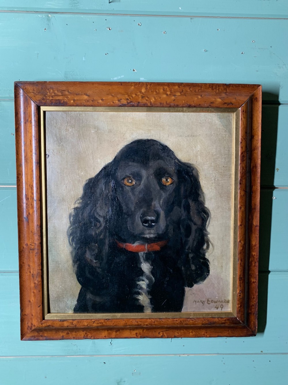 PORTRAIT OF A BLACK SPANIEL - BY MARY EDWARDS 1949