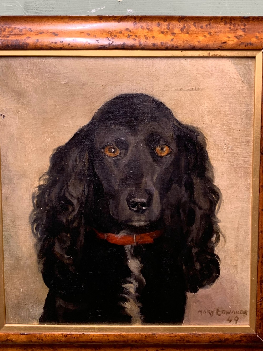 PORTRAIT OF A BLACK SPANIEL - BY MARY EDWARDS 1949 View III