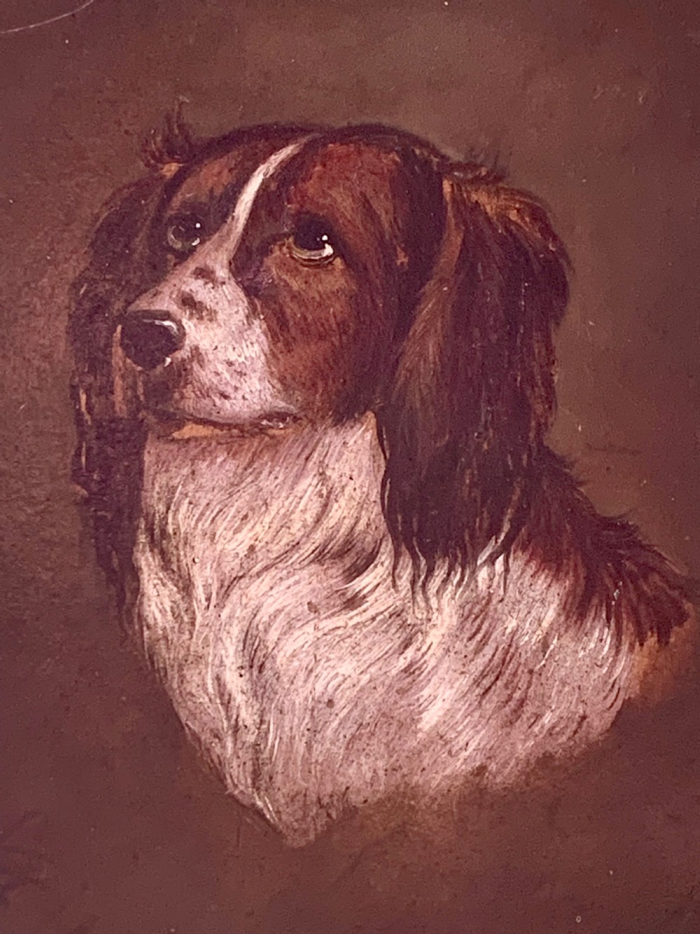 EARLY 20th CENTURY OIL PORTRAIT OF A DOG View III