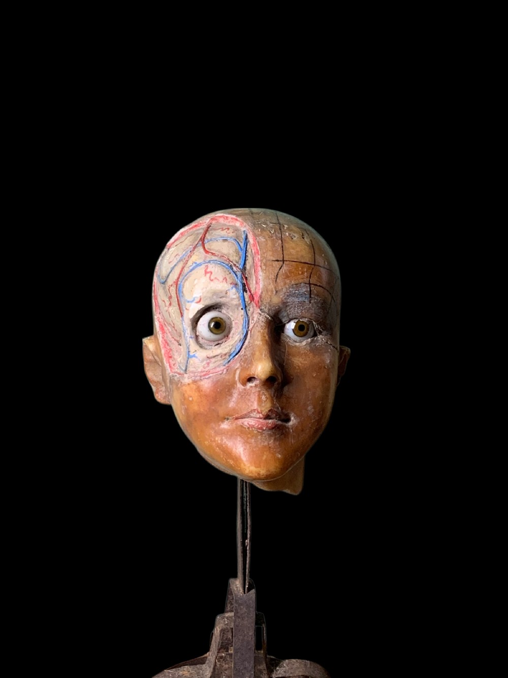 LIFE SIZE ANTIQUE ANATOMICAL WAX HEAD