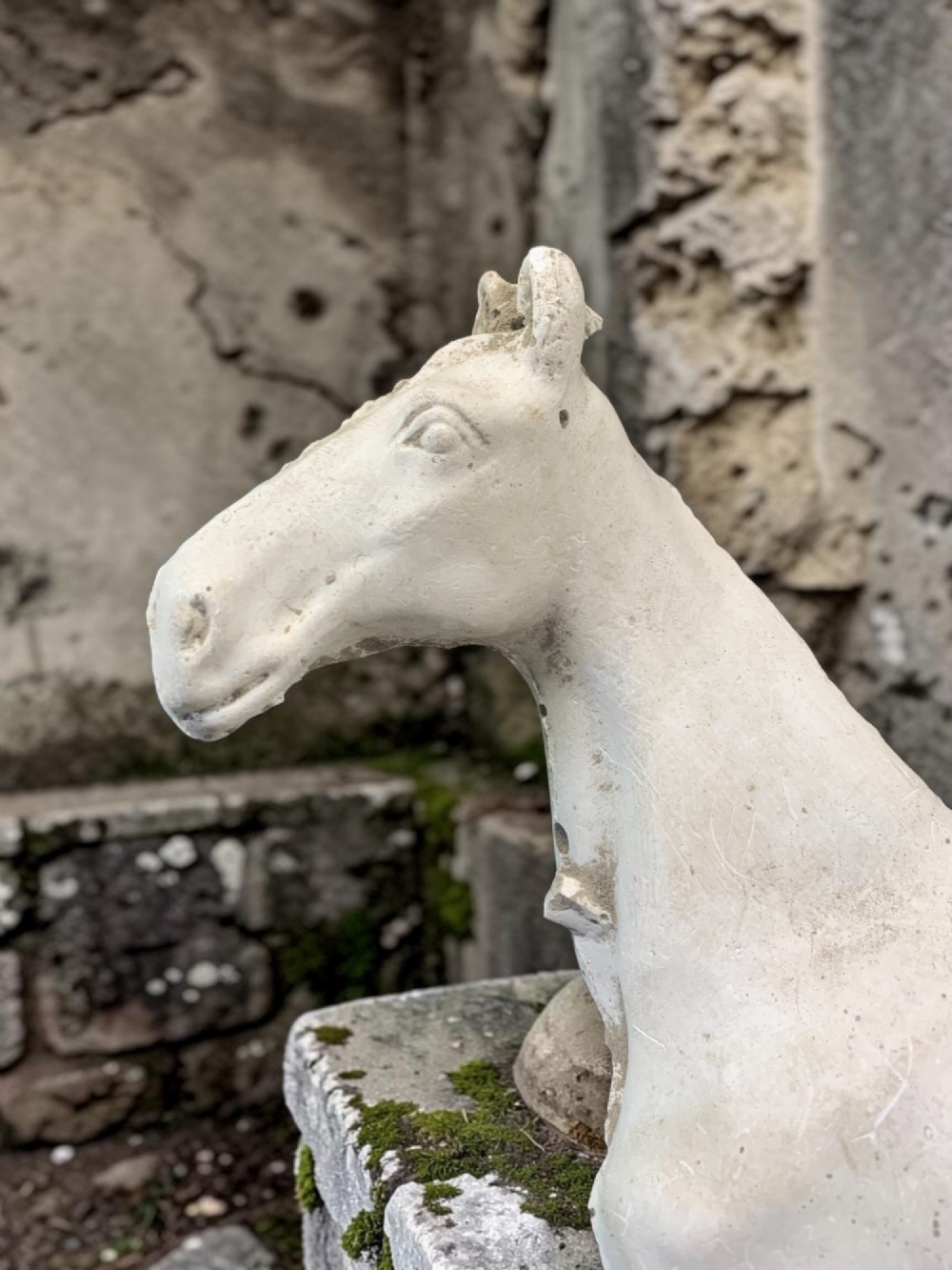 EARLY 20th CENTURY STUDIO PLASTER CAST MODEL OF A HORSE View III