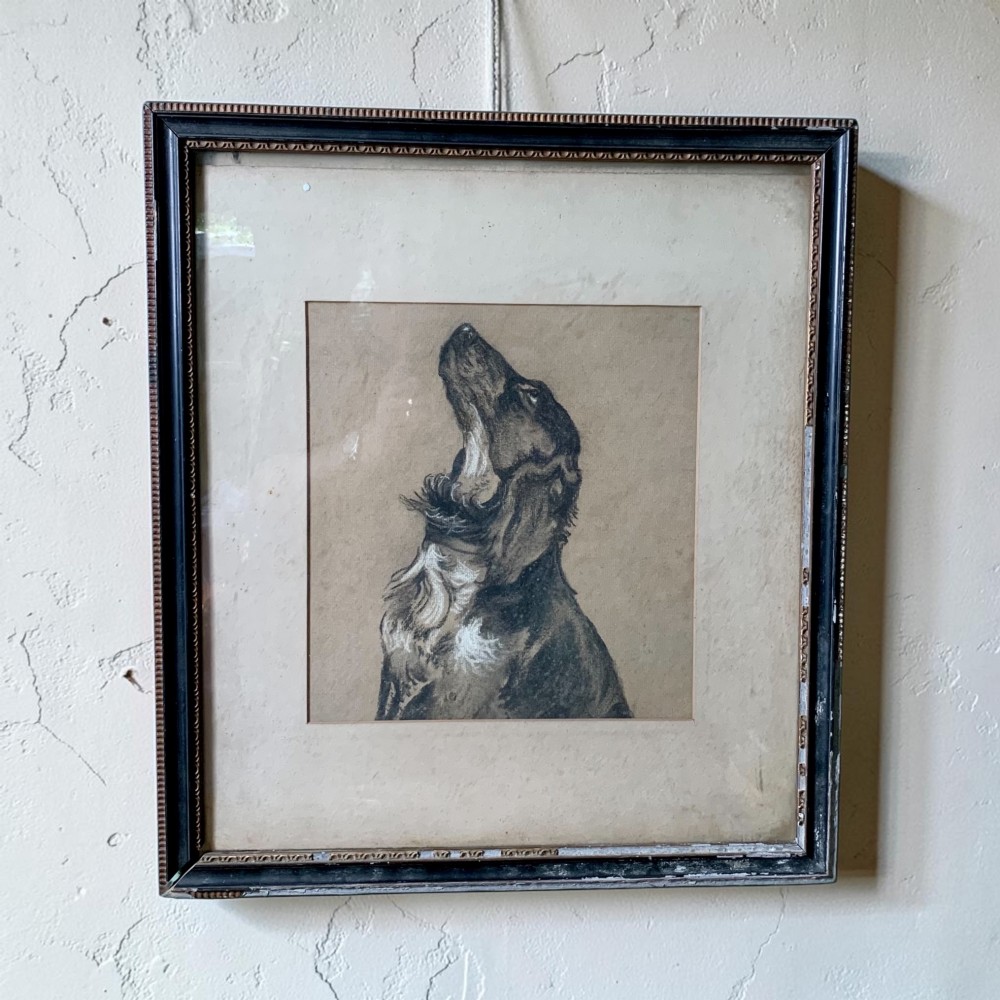 A CHARMING ANTIQUE CHARCOAL DRAWING OF A DOG