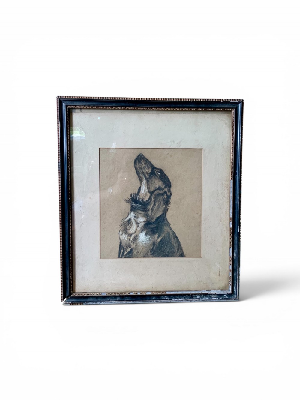 An antique charcoal drawing depicting a profile view of a dog looking upwards, mounted and presented inside a dark glazed wooden frame. View II