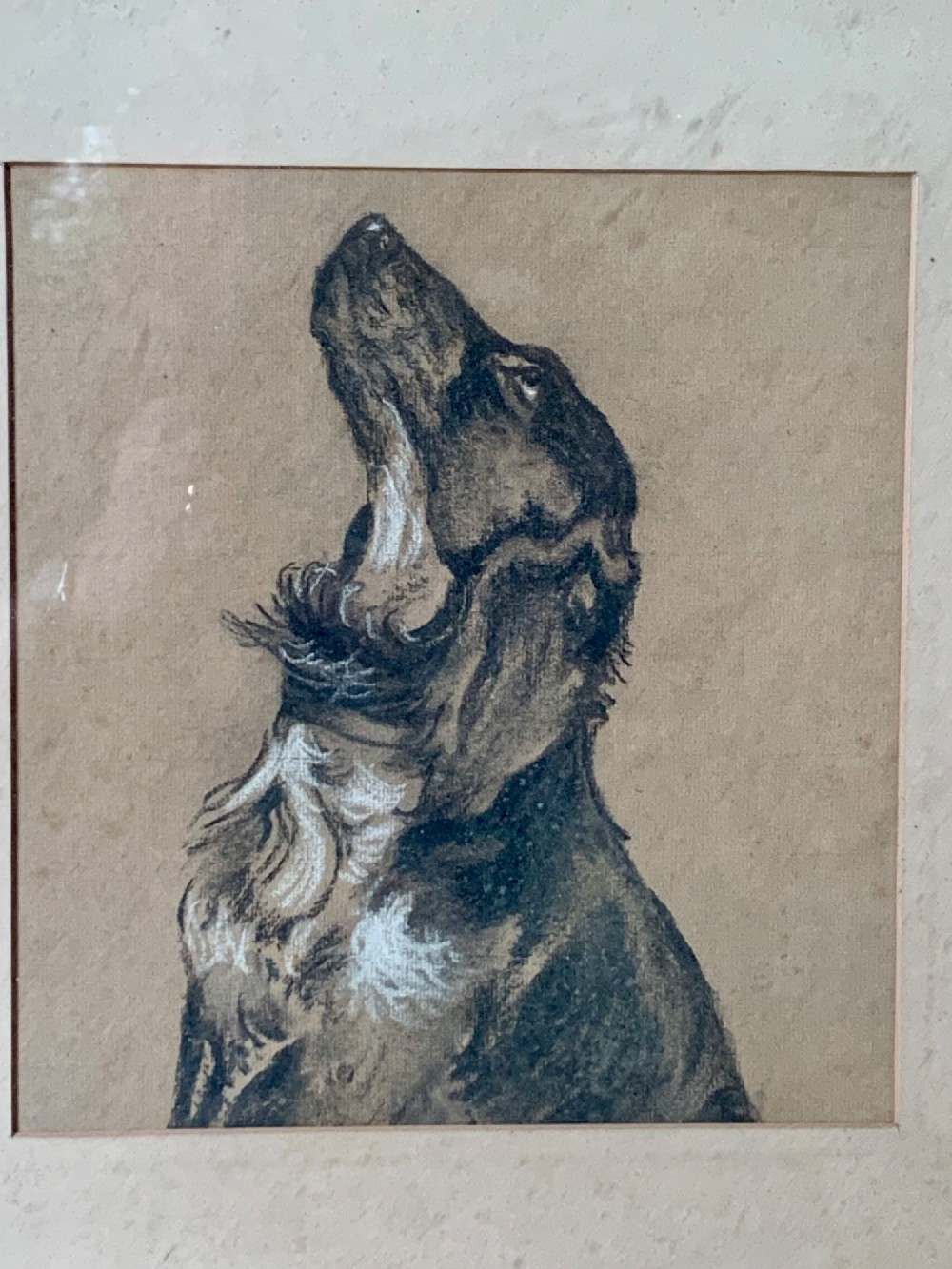 An antique charcoal drawing depicting a profile view of a dog looking upwards, mounted and presented inside a dark glazed wooden frame. View III