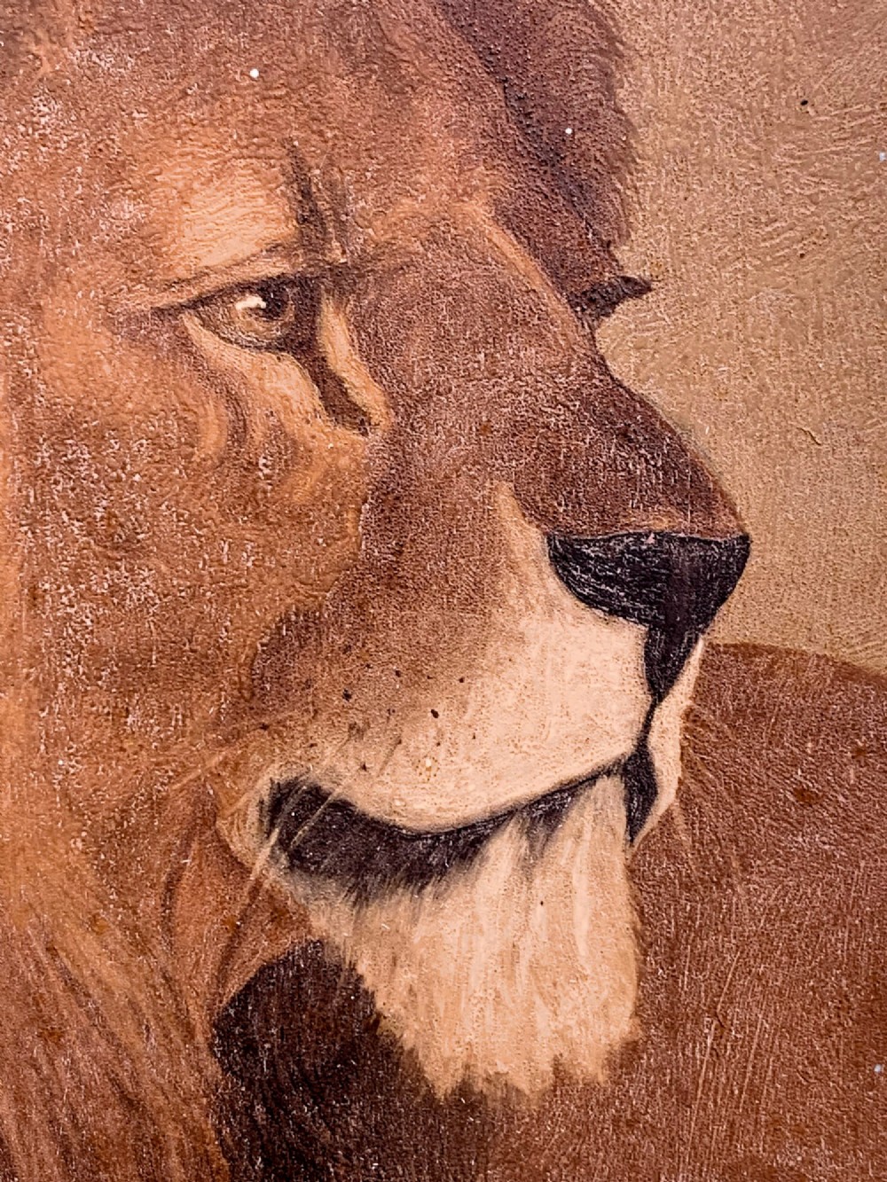 A late 19th-century naive folk art oil painting depicting the profile head study of a male lion rendered in warm brown tones. View V